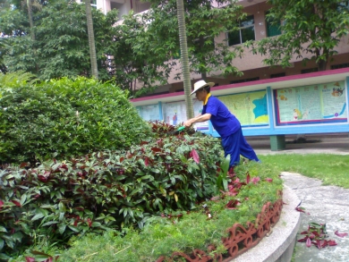 广安园林绿化工程